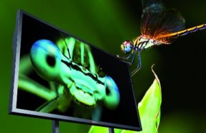 eyevis bringt 85‘‘ Ultra HD-LC-Display auf den Markt