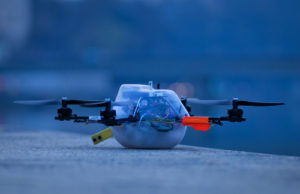 Drohnen stilisieren niedersächsisches Wappentier am Nachthimmel