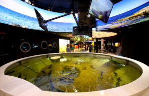 GreenGo Intercom-System im kasachischen Pavillon auf der Expo