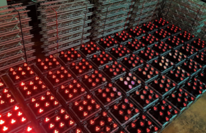 Mehr Astera-Scheinwerfer bei Gahrens + Battermann