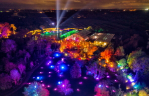 Großes Cameo Line-up illuminiert Gartenkunst