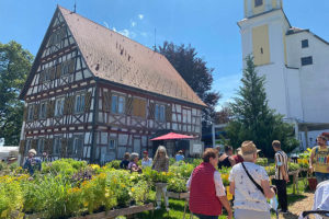 gusto!-Sommerfestival (Foto: Ravensburger Veranstaltungsgesellschaft)