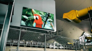 Olympiahalle München setzt auf Ledcon LED-Großbildtechnik (Fotos: Ledcon)