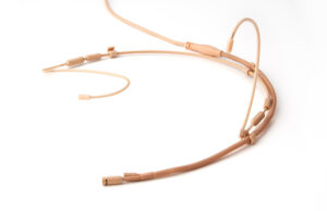 Point Source Audio Mikrofone mit Dual Element Technologie