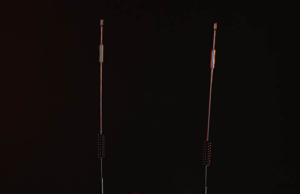 Großveranstaltungen mit der Systembox LTE von Lautwerfer Systembox LTE (Fotos: Lautwerfer)