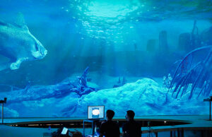 Pixera-Installation für Dinosaurierausstellung