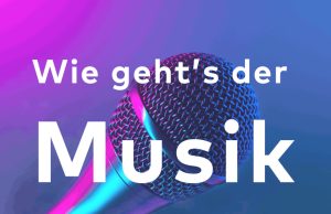 Viusal zur Studie (Foto:Forum Musikwirtschaft/EVVC)