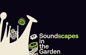 Immersiver Klang im Skulpturengarten der Nationalgalerie