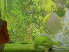 Pong.Li ermöglichte Schwarzwald-Erlebnis als 270°-Projektion