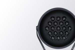 Calumma UN (Foto: Anolis)