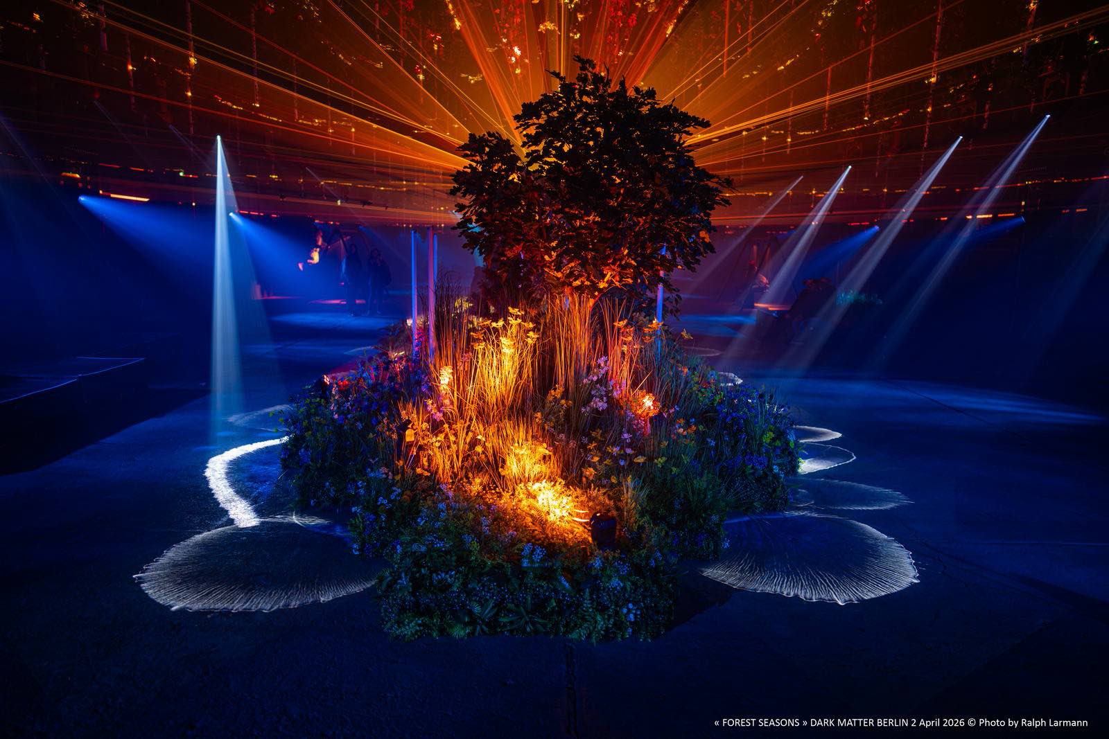 Dark Matter - Forest Seasons - copyright by Ralph Larmann - ralph@larmann.com