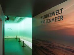 360-Grad-Projektion von DMPW für Seehundstation Norddeich